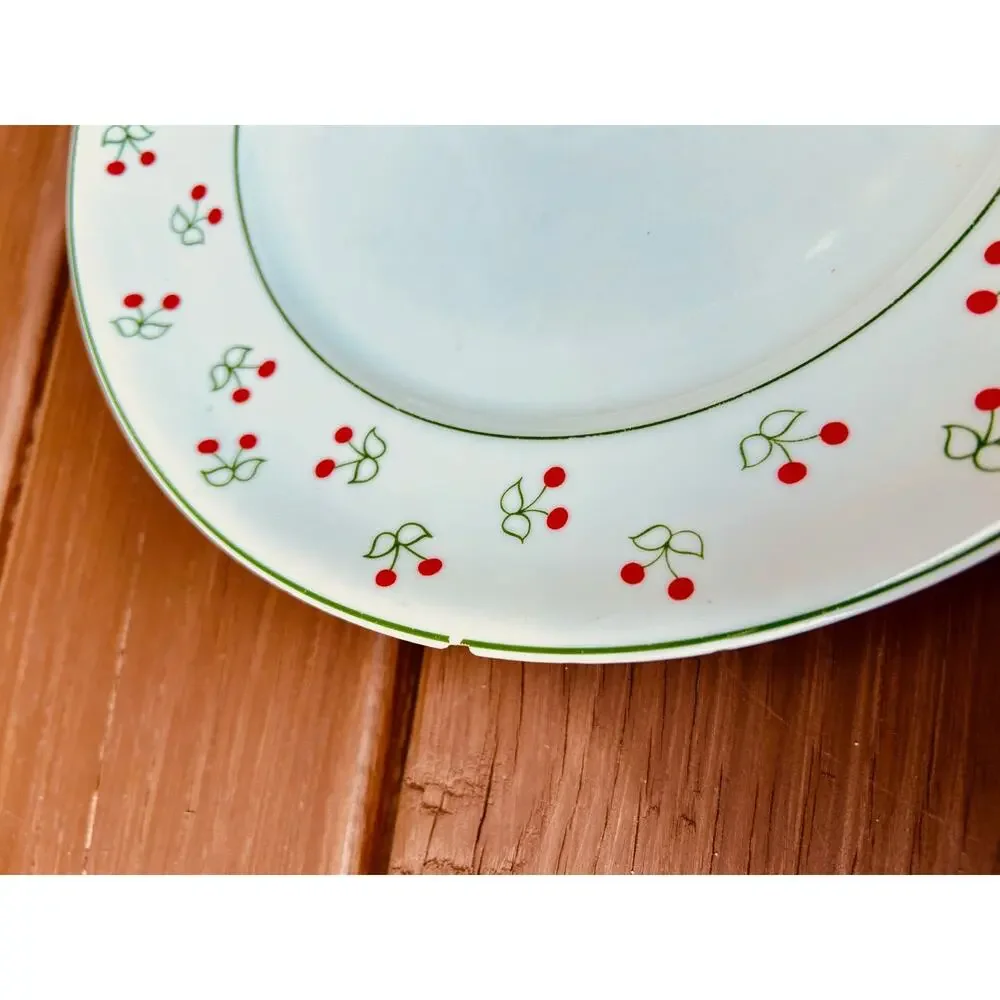 Vintage Porcelana Schmidt Brasil Cherry Pattern Dinnerware Set 16pc
